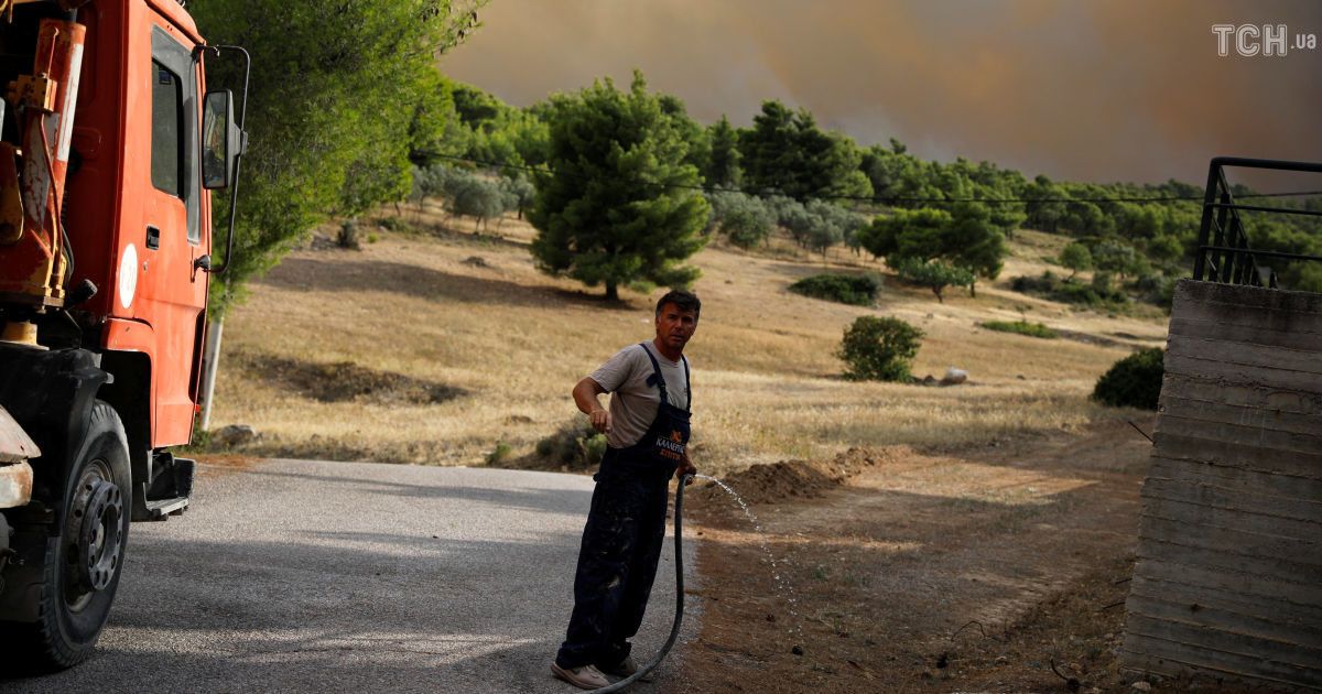Лесные пожары в Греции / © Reuters