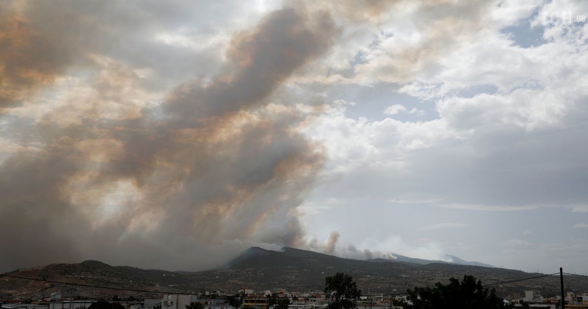 Лесные пожары в Греции / © Reuters