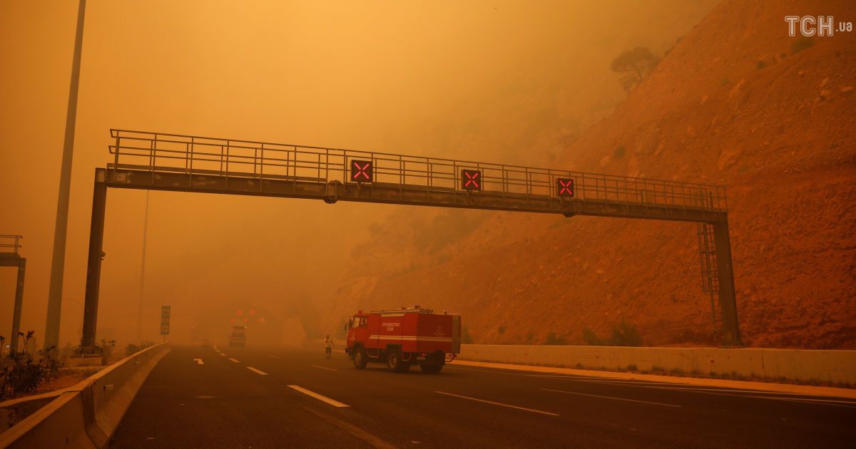 Лесные пожары в Греции / © Reuters