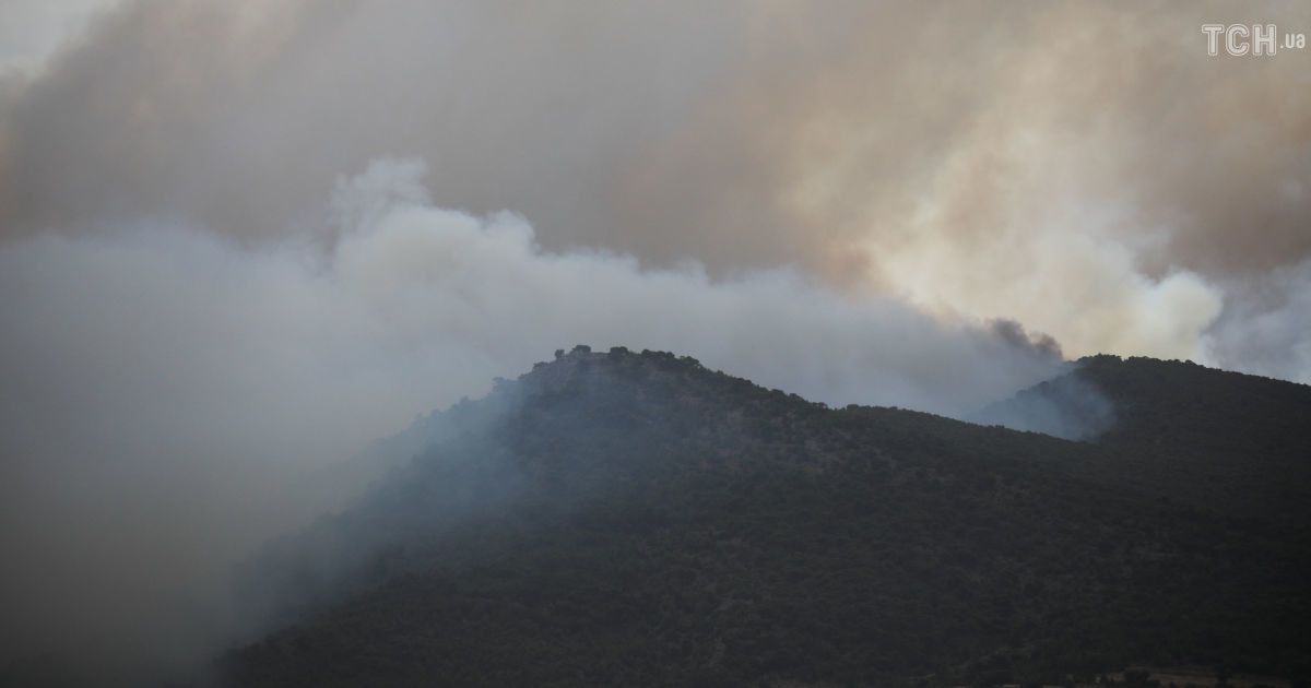 Лесные пожары в Греции / © Reuters