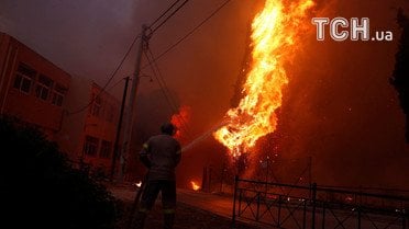 Руйнівні лісові пожежі у Греції / © Reuters