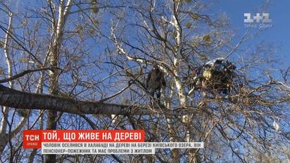 Киевский бездомный смастерил себе дом на дереве возле озера
