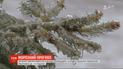 Восток и центр Украины оправляются после морозной ночи: местами температура упала до -13