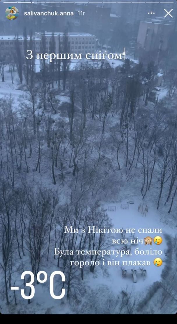 У Анны Саливанчук заболел сын / © instagram.com/salivanchuk.anna