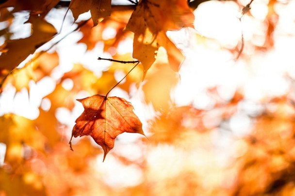 Народні прикмети 19 листопада / © unsplash.com