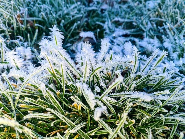 Народні прикмети 11 грудня / © unsplash.com