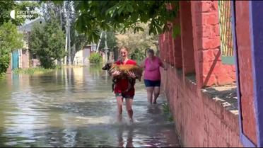 Херсонцы спасают животных из смертоносной ловушки после подрыва Каховской ГЭС