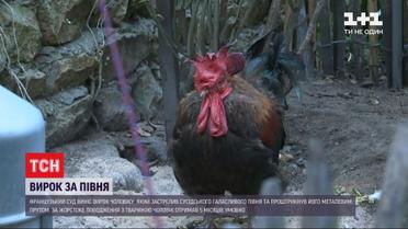 Мужчина получил пять месяцев условного тюремного срока за расстрел крикливого петуха