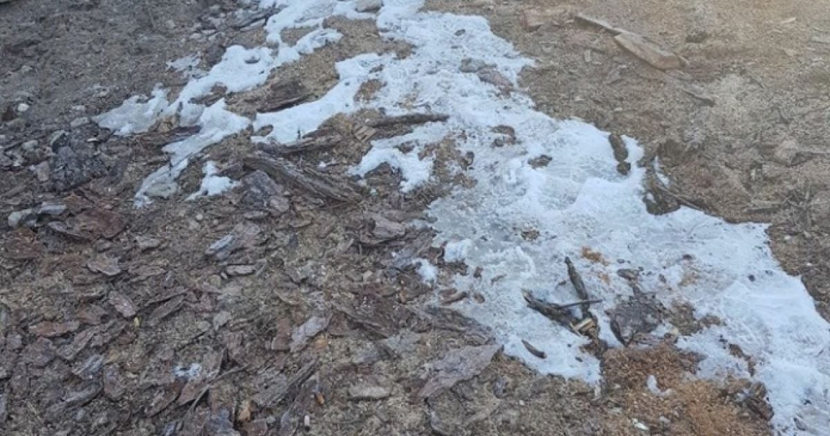 жорстоке вбивство активіста