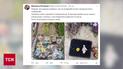 Вандалы изуродовали могилы героев на Аскольдовой Могиле