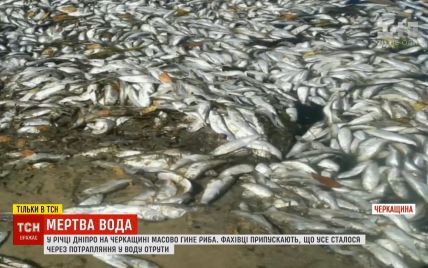 Днепр отравили: в главной реке Украины массовый мор рыбы и раков