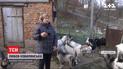 "Я и мои козы": селянка стала известной благодаря YouTube-каналу о сельской жизни