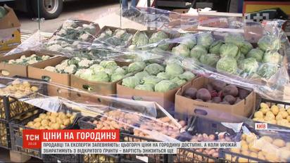Ціни на овочі: скільки городина коштує на ринках і коли буде здешевлення