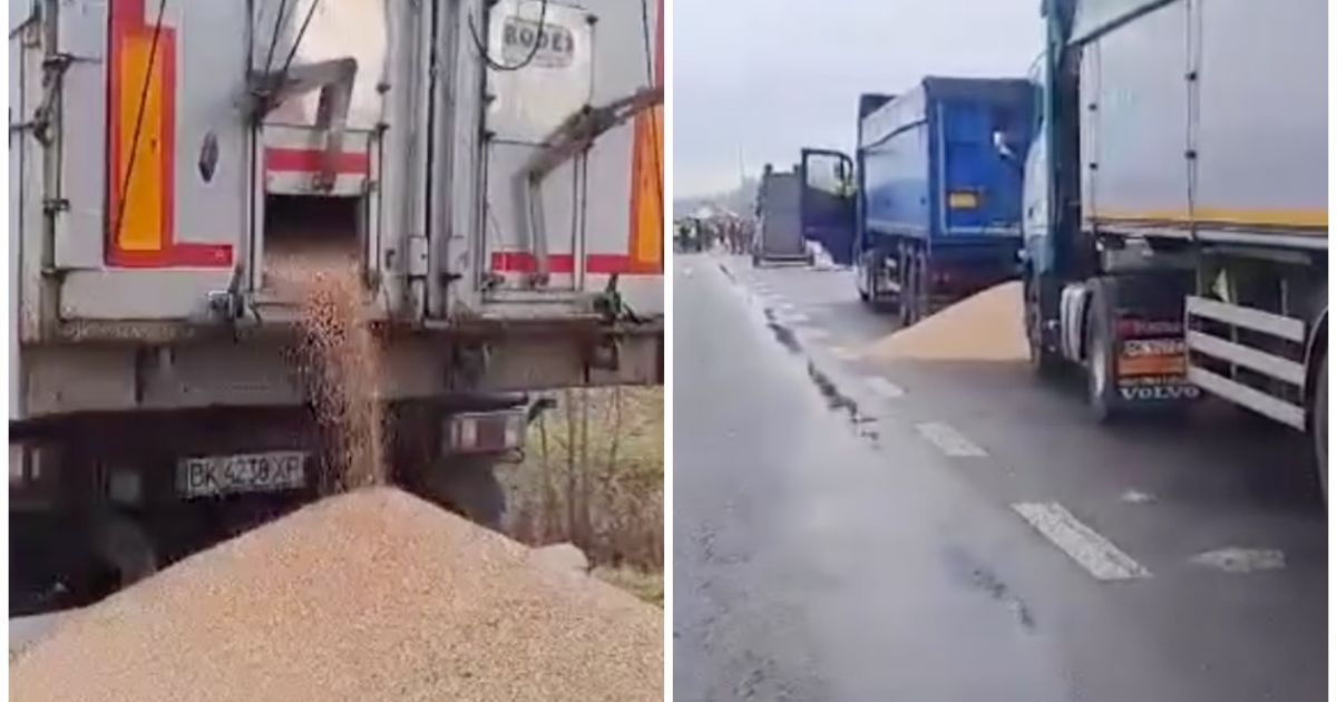 Висипане українське зерно на кордоні з Польщею / Колаж: ТСН.ua