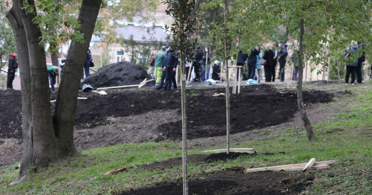 Висадили дерева та повісили таблички з іменами загиблих: у Львові вшанували українських захисників