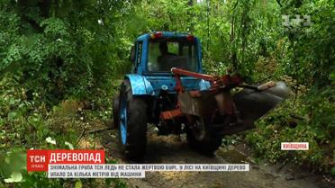 Повалені дерева перегородили єдину проїзну дорогу на Київщині