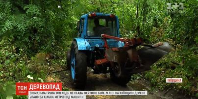 Повалені дерева перегородили єдину проїзну дорогу на Київщині