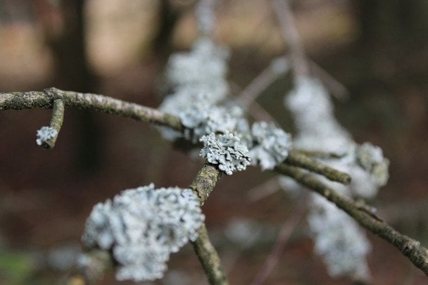 Народні прикмети 11 листопада / © unsplash.com