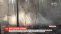 В Житомирской области локализовали пожар в Полесском заповеднике