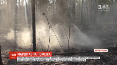В Житомирской области локализовали пожар в Полесском заповеднике