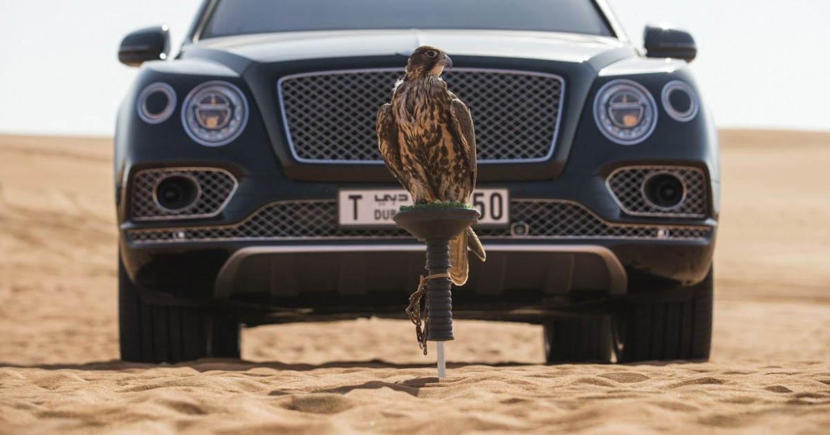 Bentley Bentayga получил набор для любителей соколиной охоты