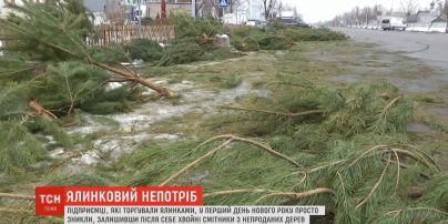 Зрубані намарно: на місці ялинкових базарів утворились хвойні смітники