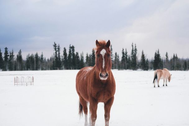 Народные приметы 11 февраля / © Unsplash