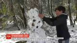 Майский снег потряс Европу