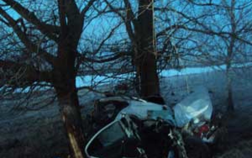 Водитель врезался в дерево / © saichn.gov.ua