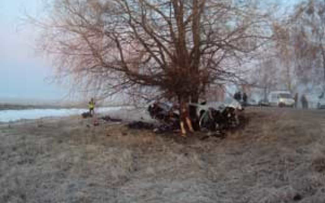 Водитель врезался в дерево / © saichn.gov.ua