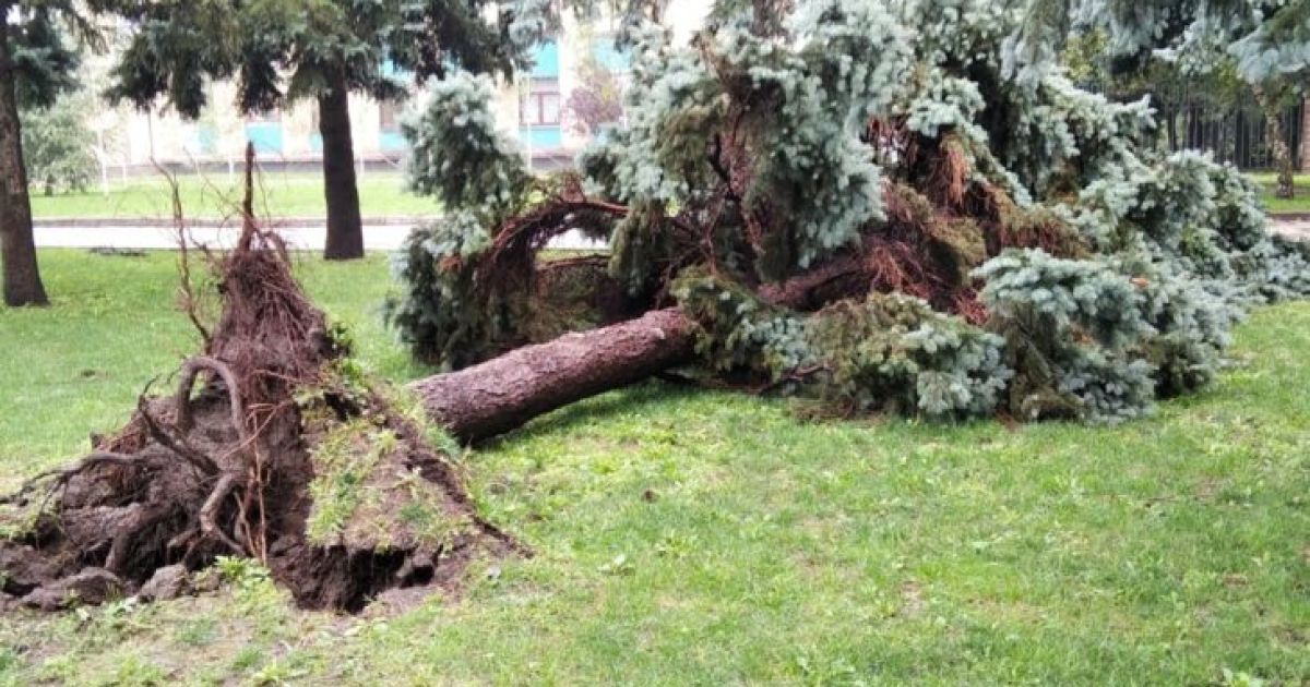Викорчувані з корінням дерева і затоплені вулиці: що в Дніпропетровській області накоїла негода (фото)