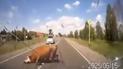 В России водитель врезался в спаривающихся корову и быка