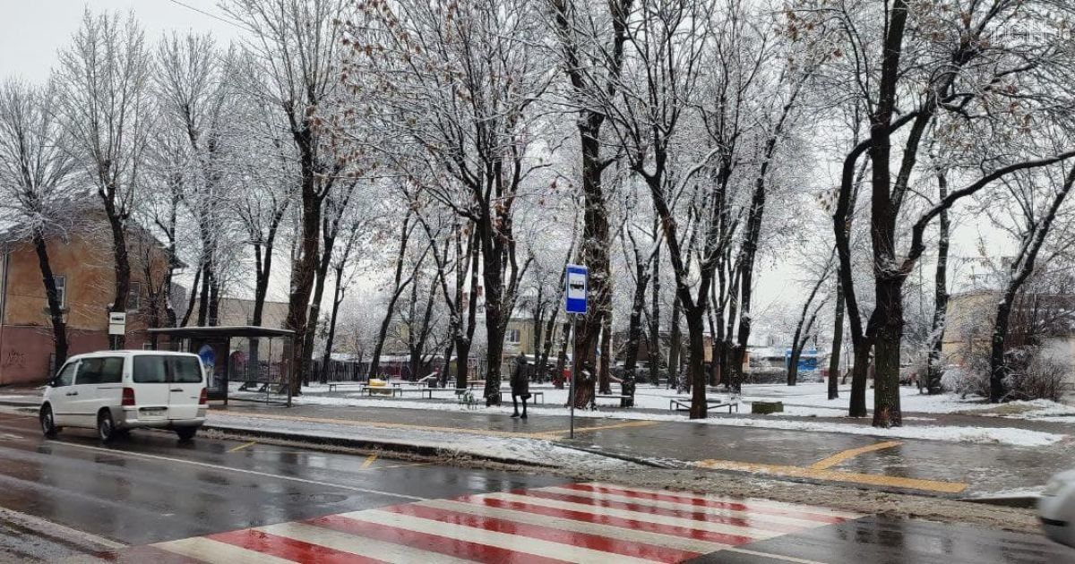 Снег, туман и гололедица: во Львовской области объявили штормовое предупреждение