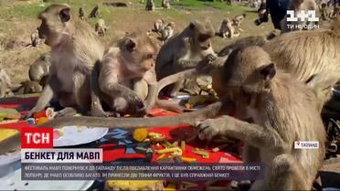 Новини світу: фестиваль мавп повернувся до Таїланду