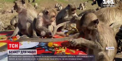 Новини світу: фестиваль мавп повернувся до Таїланду