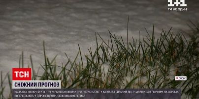 Погода в Україні: столицю від ночі почало замітати снігом