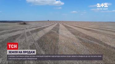 Новини України: громадяни можуть купувати та продавати землю сільськогосподарського призначення