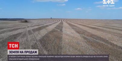 Новини України: громадяни можуть купувати та продавати землю сільськогосподарського призначення
