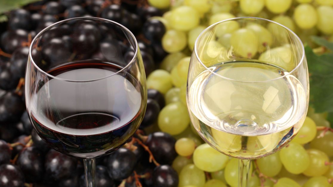 Домашнее вино из винограда. Рецепт с фото