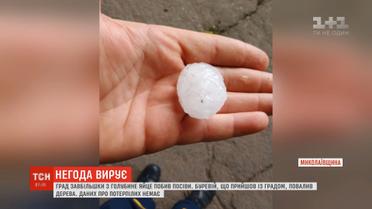 На Миколаївщині випав гігантський град