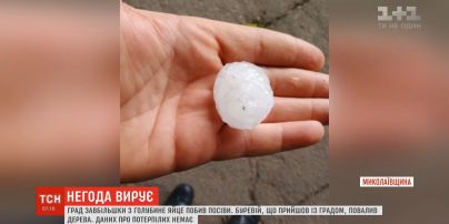 На Миколаївщині випав гігантський град