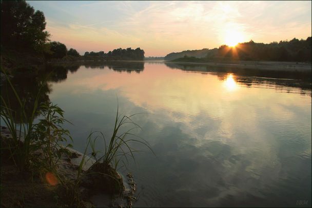 Река Десна / © uk.wikipedia.org