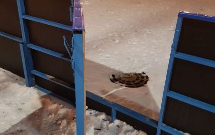 В Росії побудували хокейний майданчик з каналізаційним люком