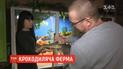 У Вінниці подружжя на власній фермі вирощує 10 видів крокодилів