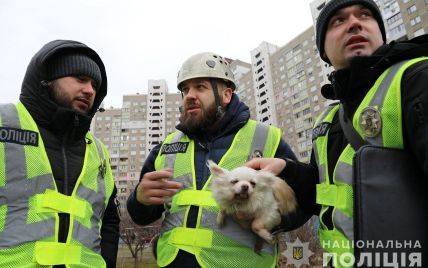 Полицейские Киева спасли собачку, которую заблокировало в разрушенной квартире: ее уже забрали владельцы