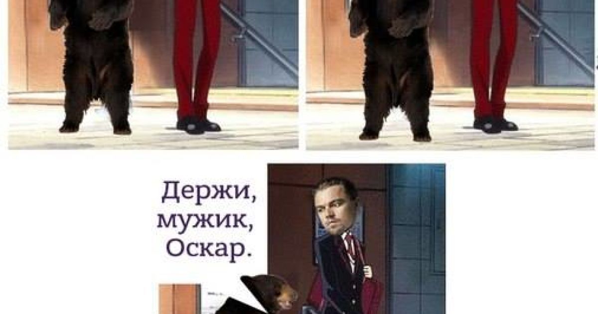 Пользователи Интернета смеются с победы Ди Каприо / © twitter.com
