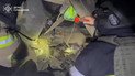 ГСЧС в Сумской области после атаки достали из-под обломков собачку
