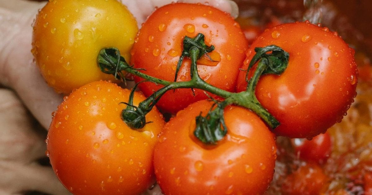 Як правильно мити помідори