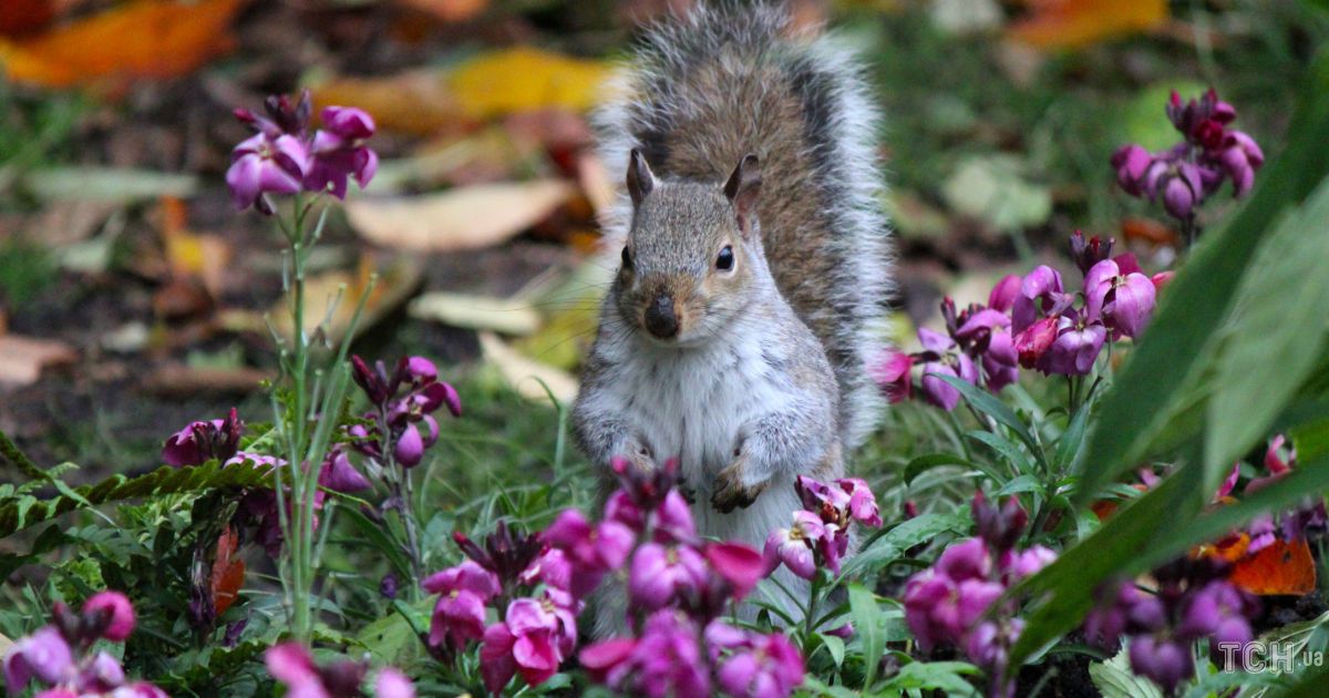 Гороскоп на сентябрь 2024 года