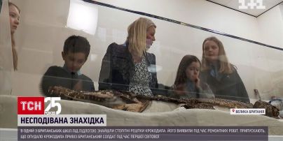 У британській школі знайшли скелет столітнього крокодила